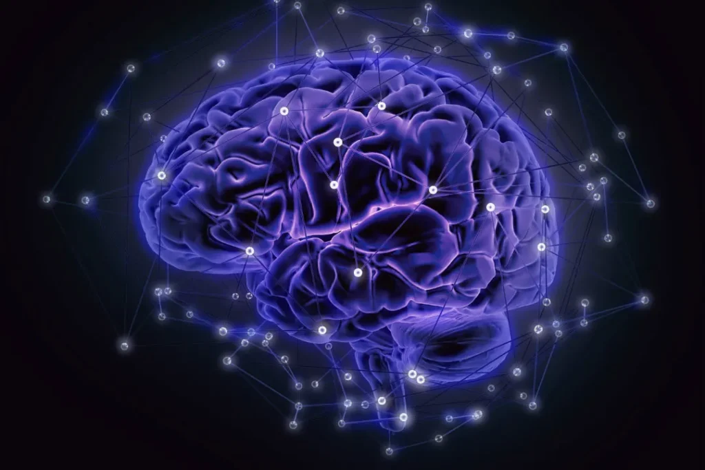 human brain digital artwork