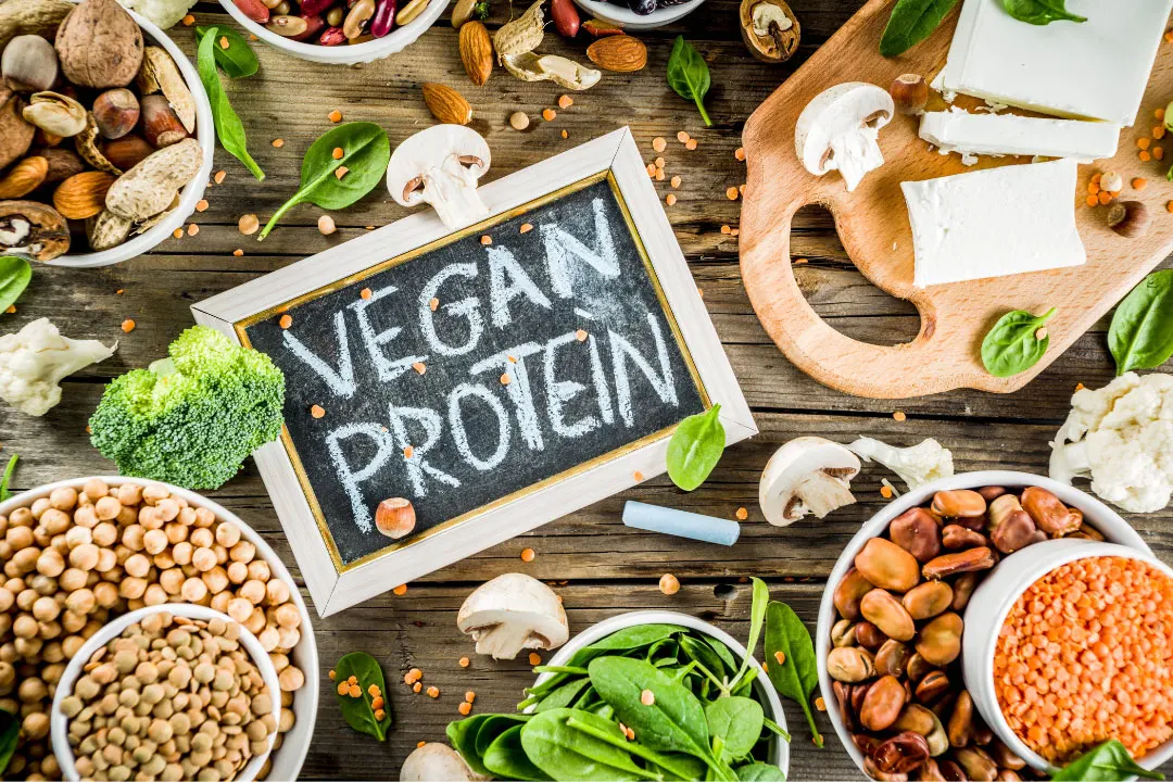 Ensure plant based protein