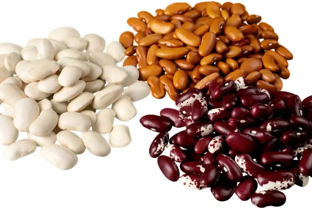 Beans contain protein. 