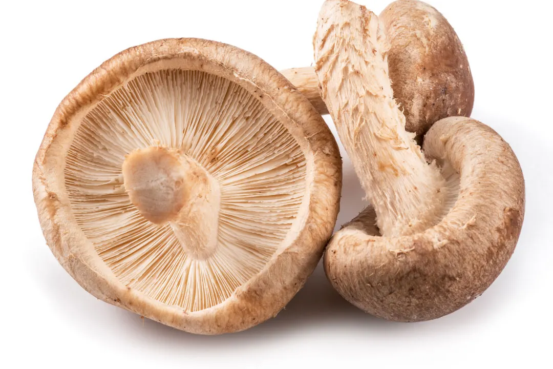 top mushroom supplements