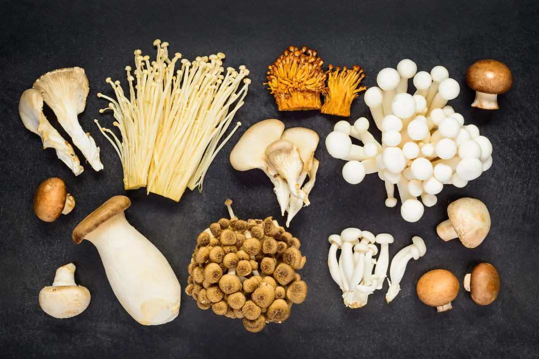 mushrooms for multiple sclerosis